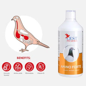 l carnitine benefits for pigeons Pigeon Vitality L-Carnitine Complex with Magnesium-Calcium 100g Global Pigeon Supplies Inc VITAMINO PLUS - Powerful Vitamin