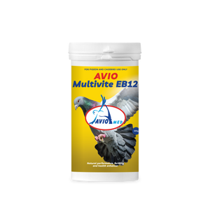 AVIO MULTIVITE EB12 – 200g