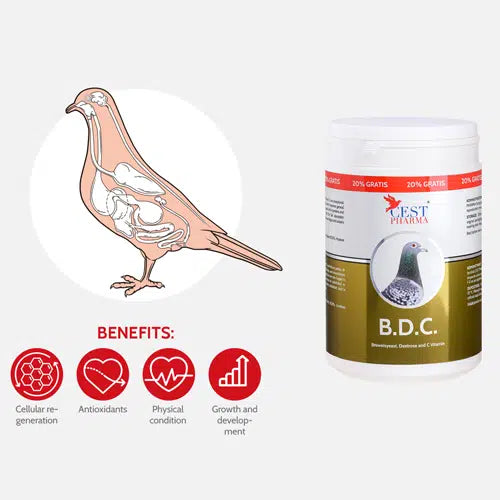 2902 CEST BDC (Brewers Yeast, Dextrose & Vit C) 600g - Foy's Pet Supplies 2902 CEST BDC (Brewers Yeast, Dextrose & Vit C) 600g - Foy's Pet Supplies