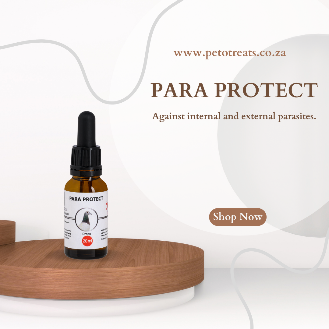 CEST PARA PROTECT 20 ml