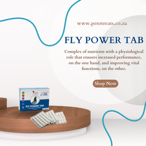CEST FLY POWER TAB 90 tablets