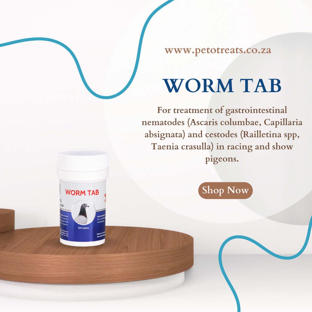 Cestone Tab CEST WORM TAB 100 tablets – Pet O' Treats