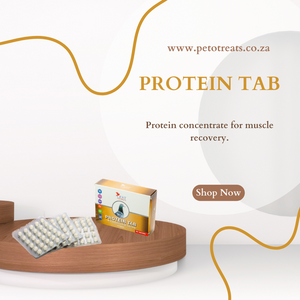 CEST PROTEIN TAB 90 tablets