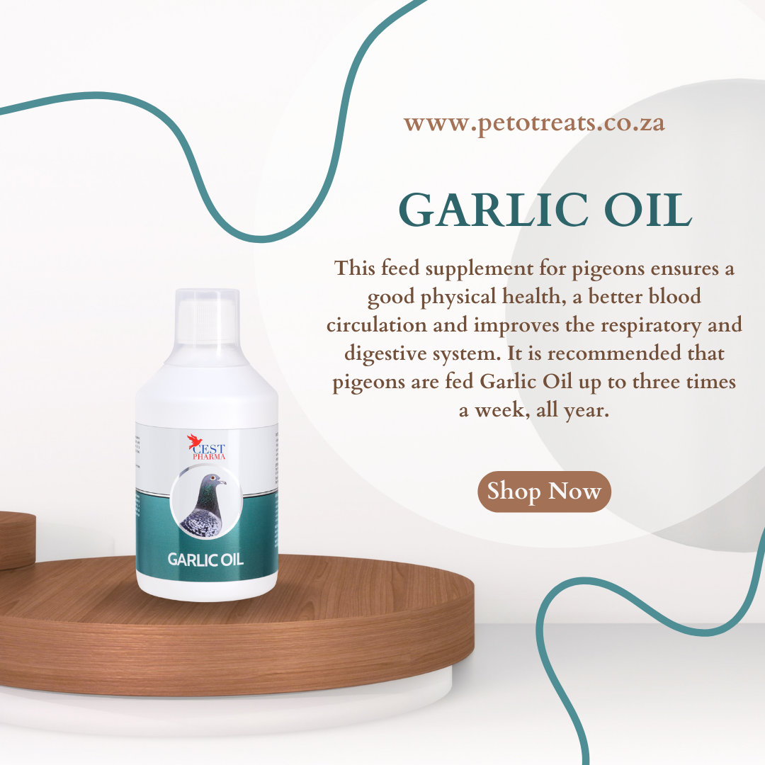 CEST GARLIC OIL