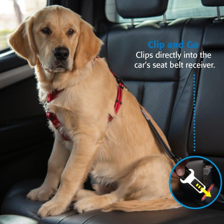 ROGZ UTILITY CAR - SAFE SEAT BELT CLIP