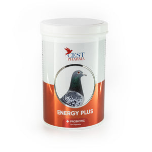 CEST ENERGY PLUS