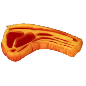 SQUEAKY STEAK DOG TOY