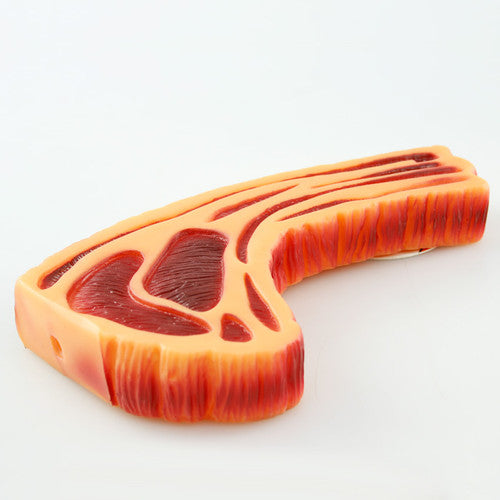 SQUEAKY STEAK DOG TOY