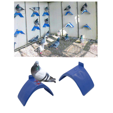 PIGEON V PERCH – Pet O' Treats