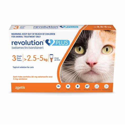 REVOLUTION PLUS CATS > 2.5-5 KG Single