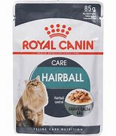 ROYAL CANIN HAIRBALL GRAVY