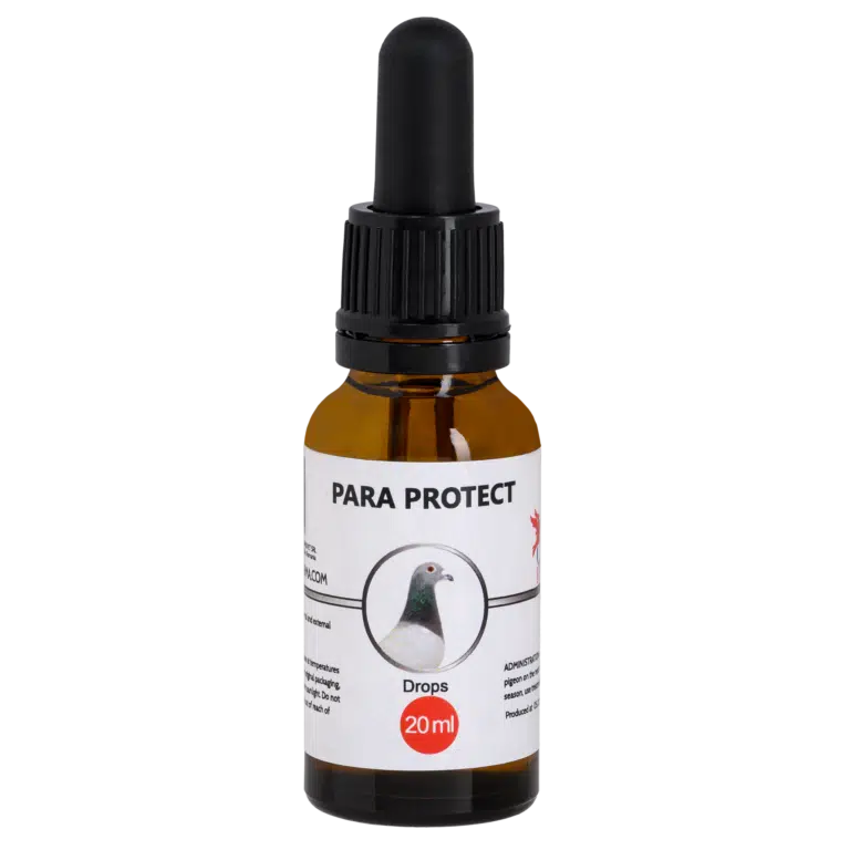 CEST PARA PROTECT 20 ml