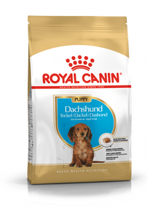 Royal Canin Dachshund puppy