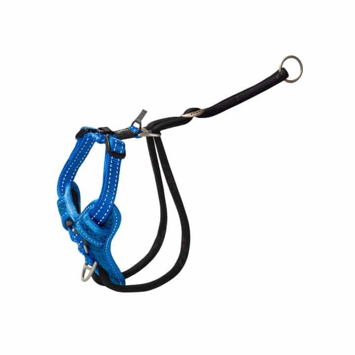 ROGZ UTILITY STOPPULL HARNESS Pet O' Treats