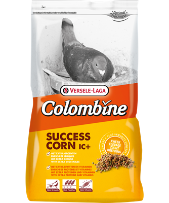 VL SUCCESS CORN