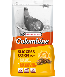 VL SUCCESS CORN