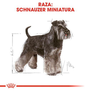 ROYAL CANIN SCHNAUZER ADULT