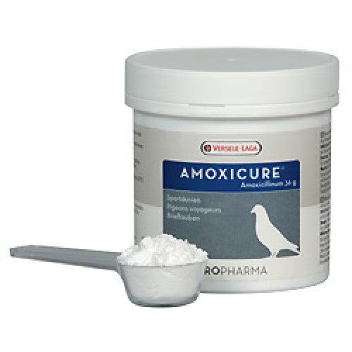 Amoxicure By Oropharma - Pet O' Treats