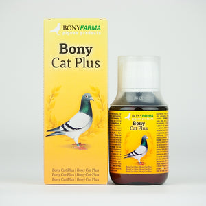 Bony Cat Plus