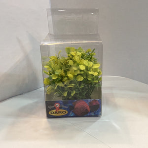 DARO AQUARIUM PLANT PP71228