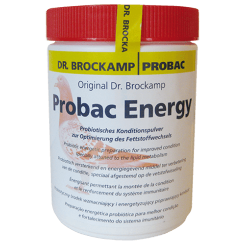 Probac Energy